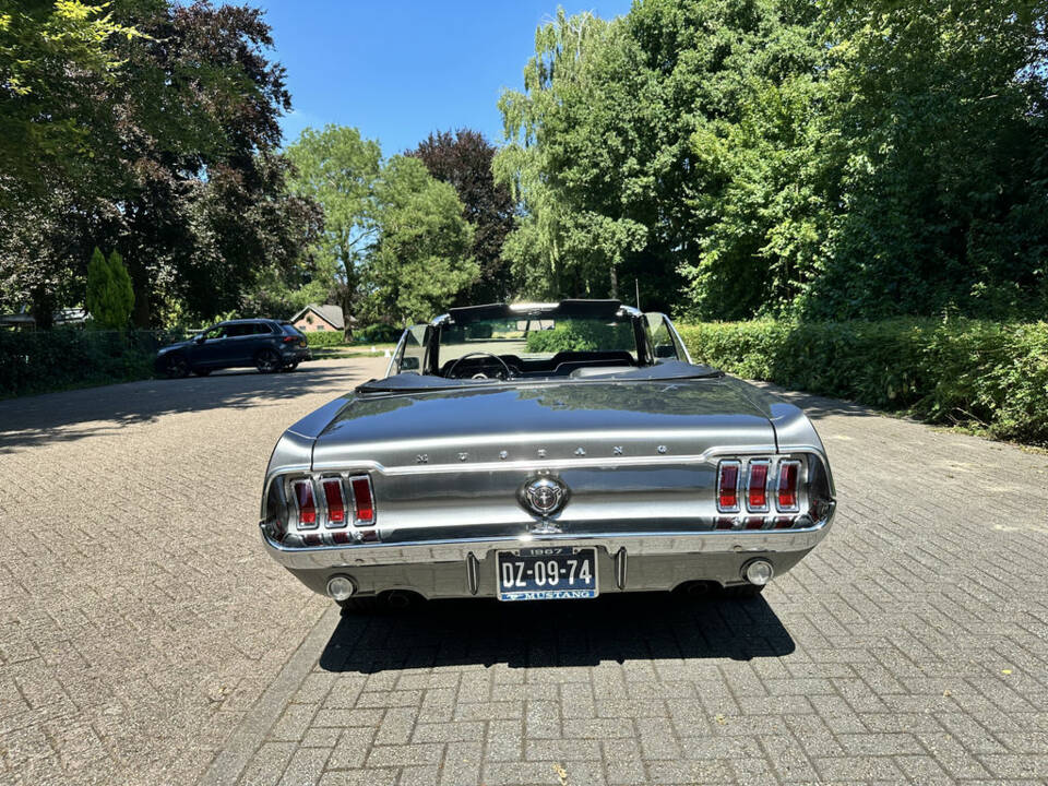 Bild 6/8 von Ford Mustang 289 (1967)