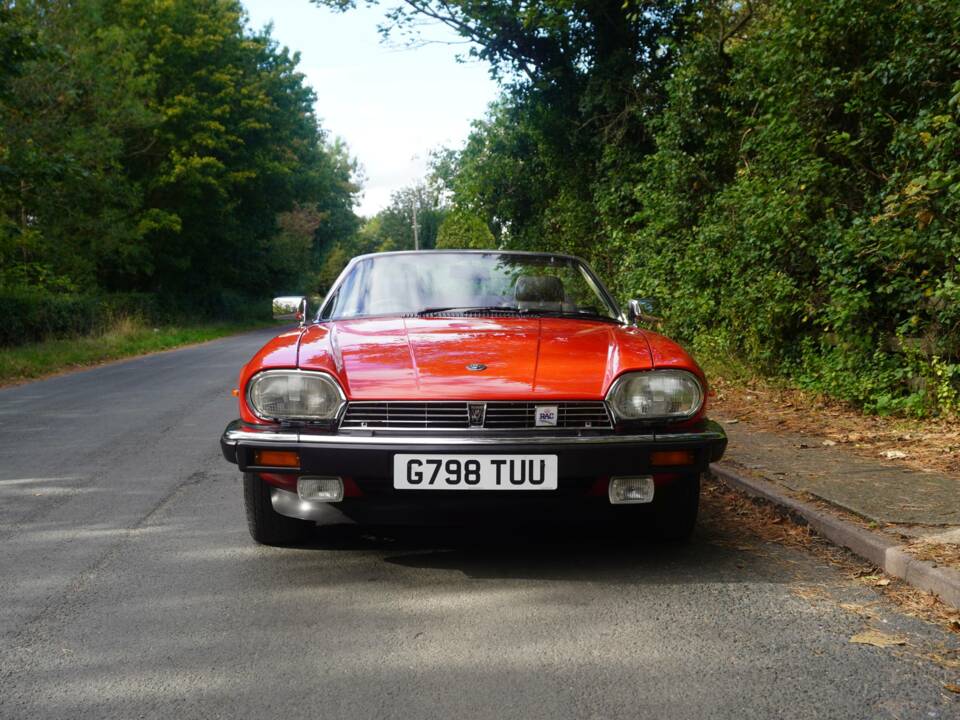 Image 2/23 de Jaguar XJS 5.3 V12 (1989)