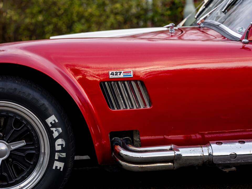 Afbeelding 40/50 van AC Cobra 289 (2000)