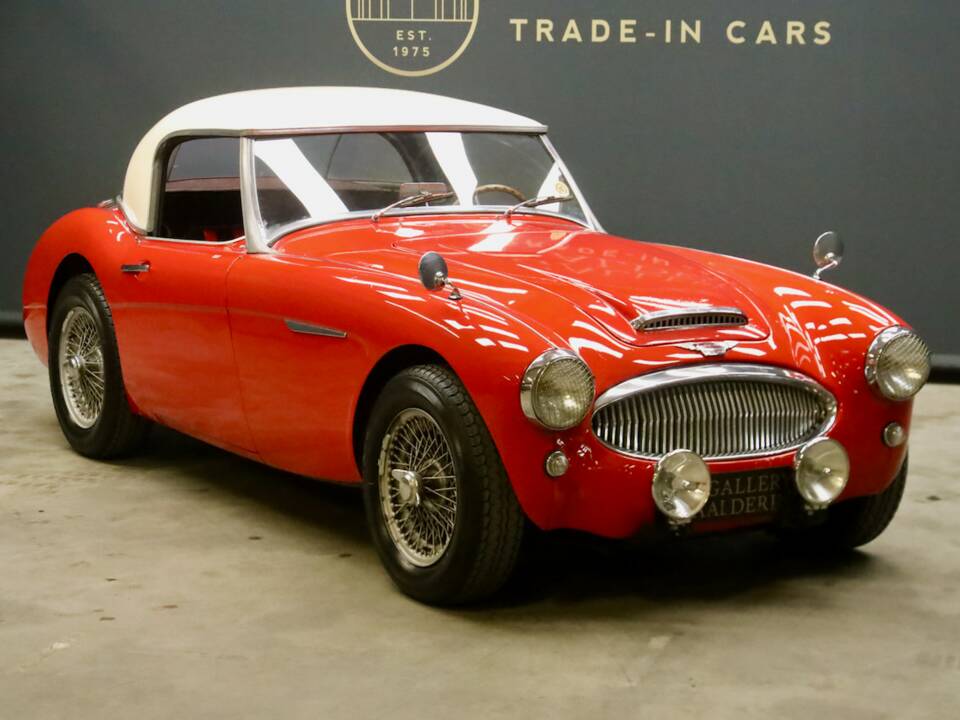 Bild 26/50 von Austin-Healey 3000 Mk II (BN7) (1962)
