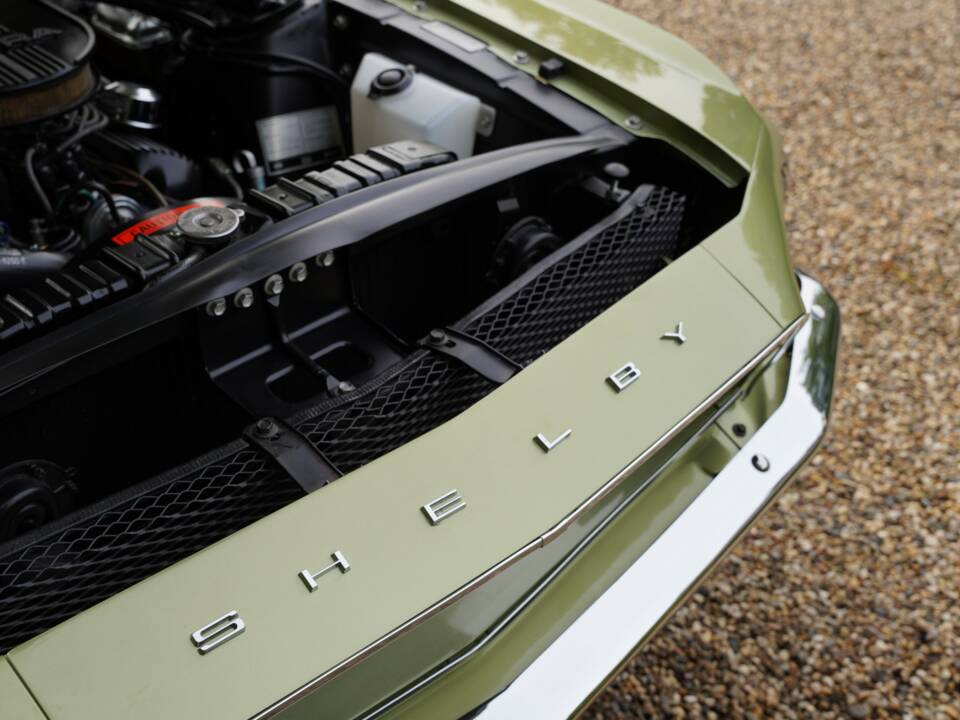 Afbeelding 17/50 van Ford Shelby GT 350 (1968)