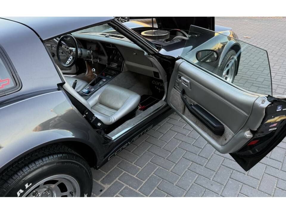 Bild 8/14 von Chevrolet Corvette Sting Ray (1981)