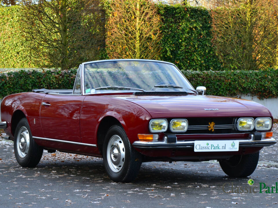 Image 7/38 of Peugeot 504 Convertible (1970)