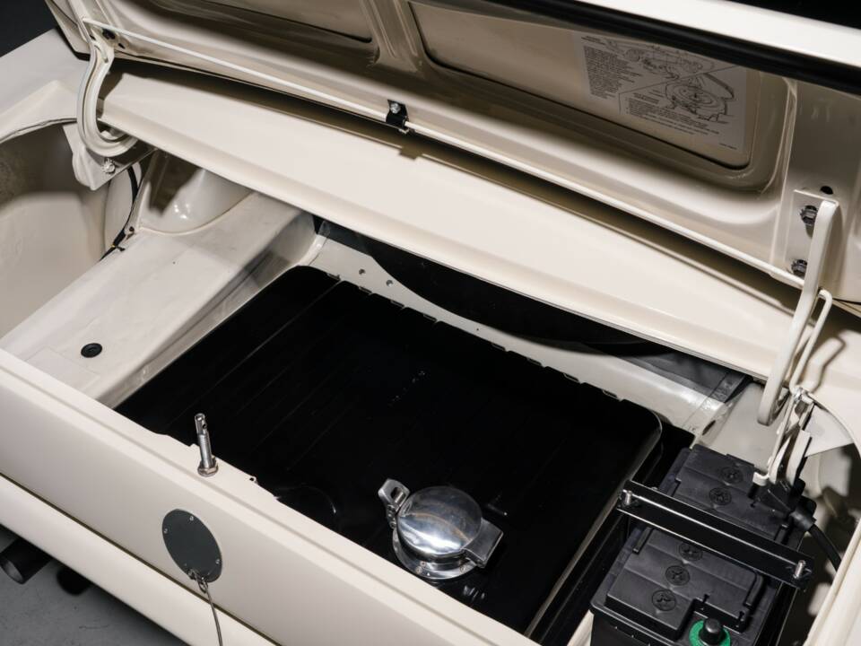 Image 13/22 of Ford Shelby GT 350 (1965)