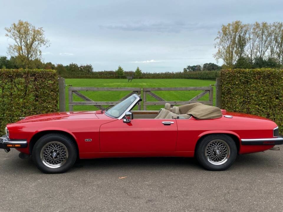 Image 1/30 of Jaguar XJS 5.3 V12 (1992)