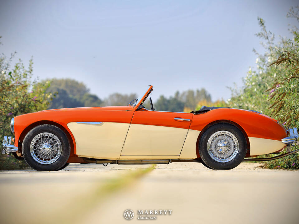 Afbeelding 3/40 van Austin-Healey 3000 Mk I (BN7) (1959)