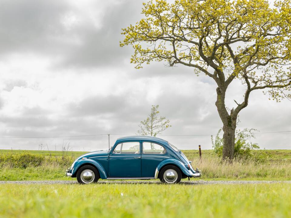 Bild 36/40 von Volkswagen Käfer 1300 (1965)