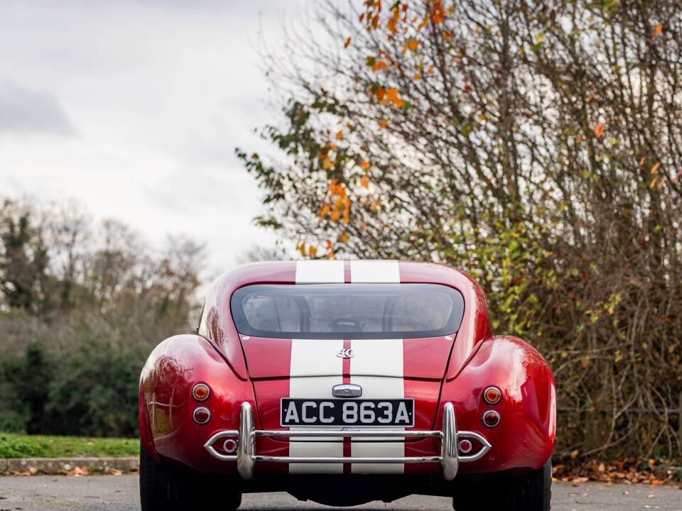 Afbeelding 9/50 van AC Cobra 289 (2000)