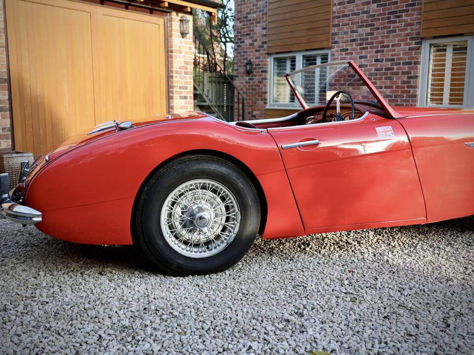 Bild 19/24 von Austin-Healey 3000 Mk I (BN7) (1961)