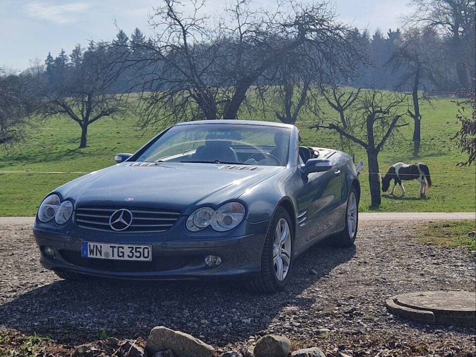 Image 7/26 de Mercedes-Benz SL 350 (2004)