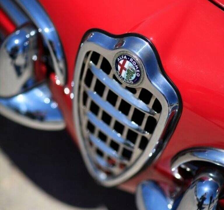 Afbeelding 8/8 van Alfa Romeo Giulia 1600 Spider (1964)