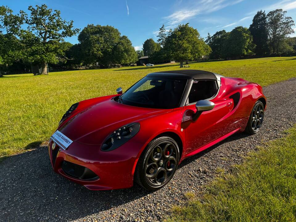 Bild 16/47 von Alfa Romeo 4C Spider (2015)