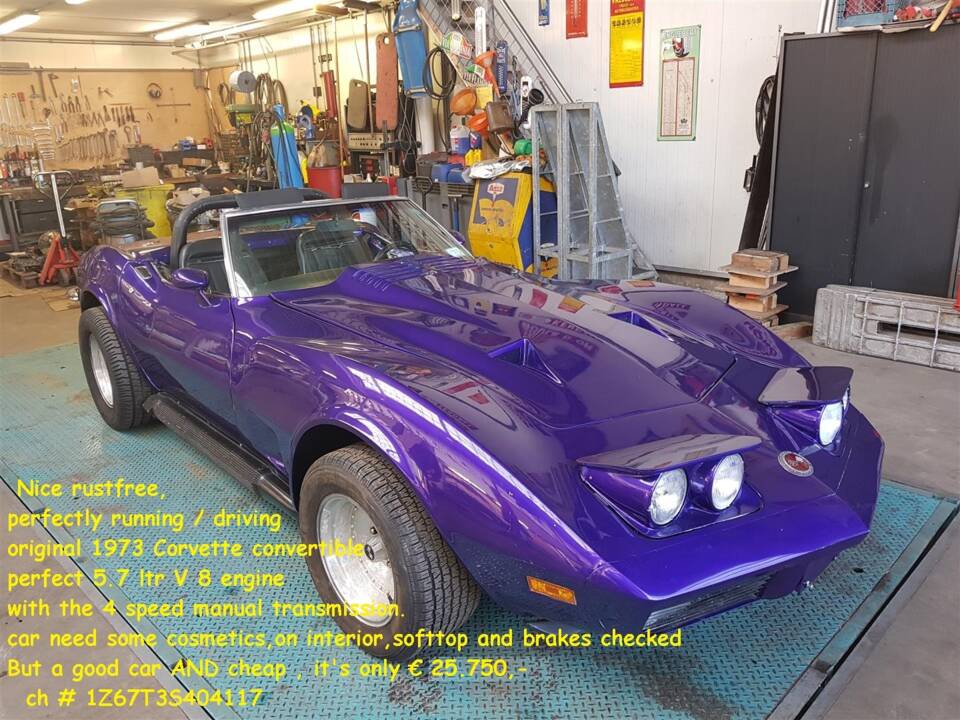 Immagine 22/50 di Chevrolet Corvette Stingray (1973)