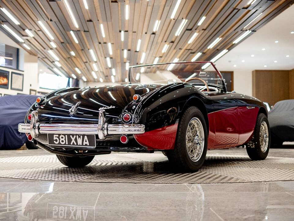Bild 3/50 von Austin-Healey 100/4 (BN2) (1956)