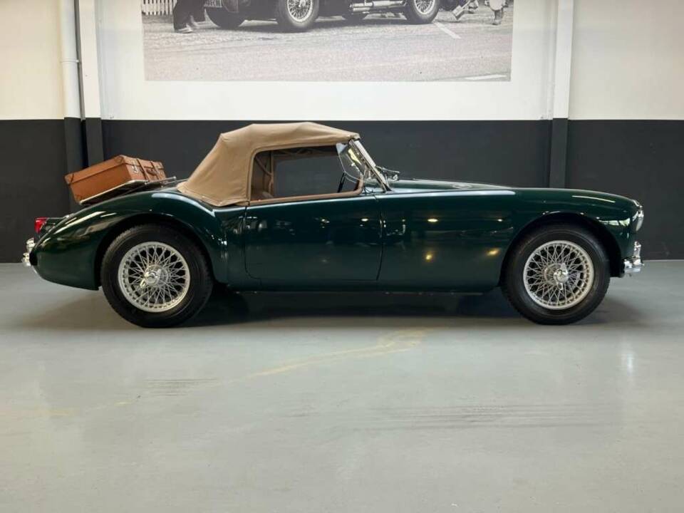 Bild 5/50 von MG MGA 1500 (1955)