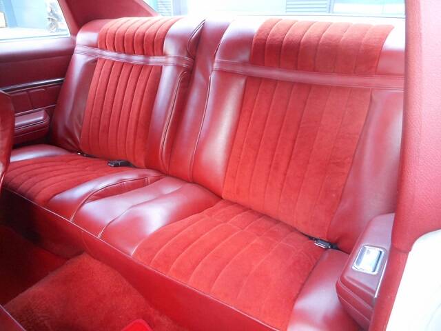 Image 15/22 of Buick Skylark Coupe (1976)