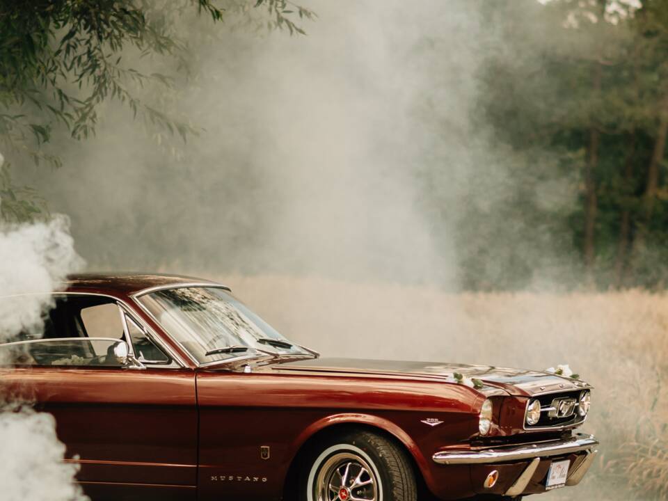 Imagen 10/17 de Ford Mustang 289 (1966)