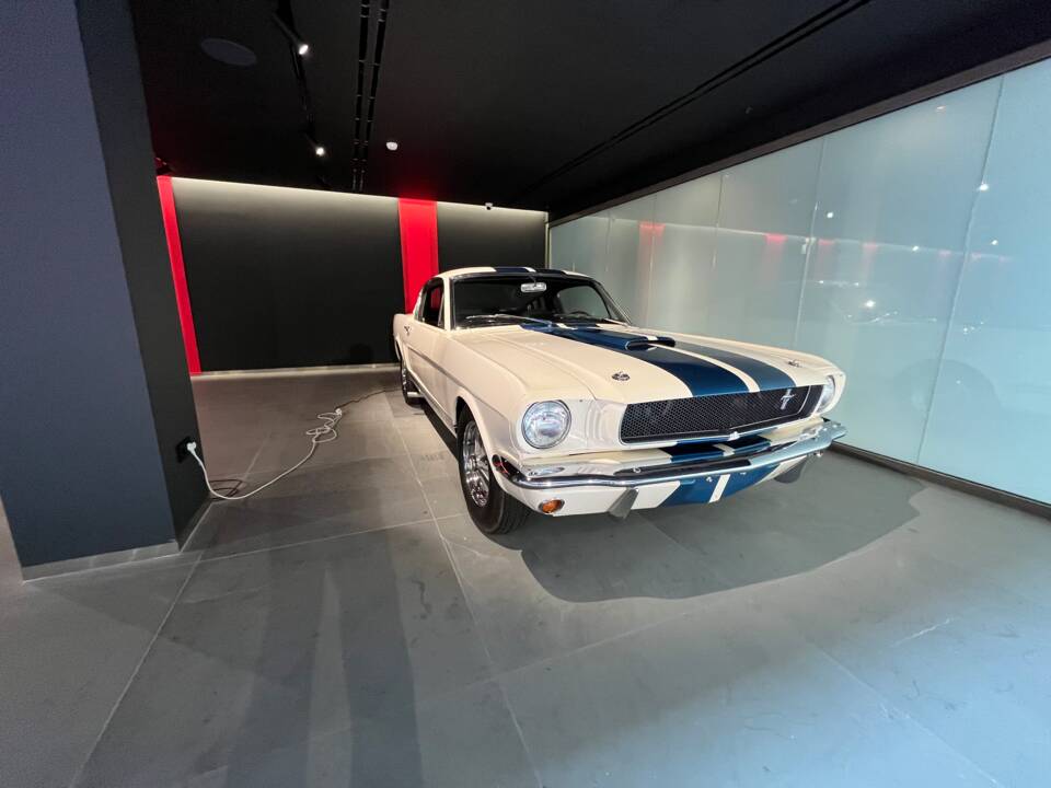 Bild 1/4 von Ford Shelby GT 350 (1965)