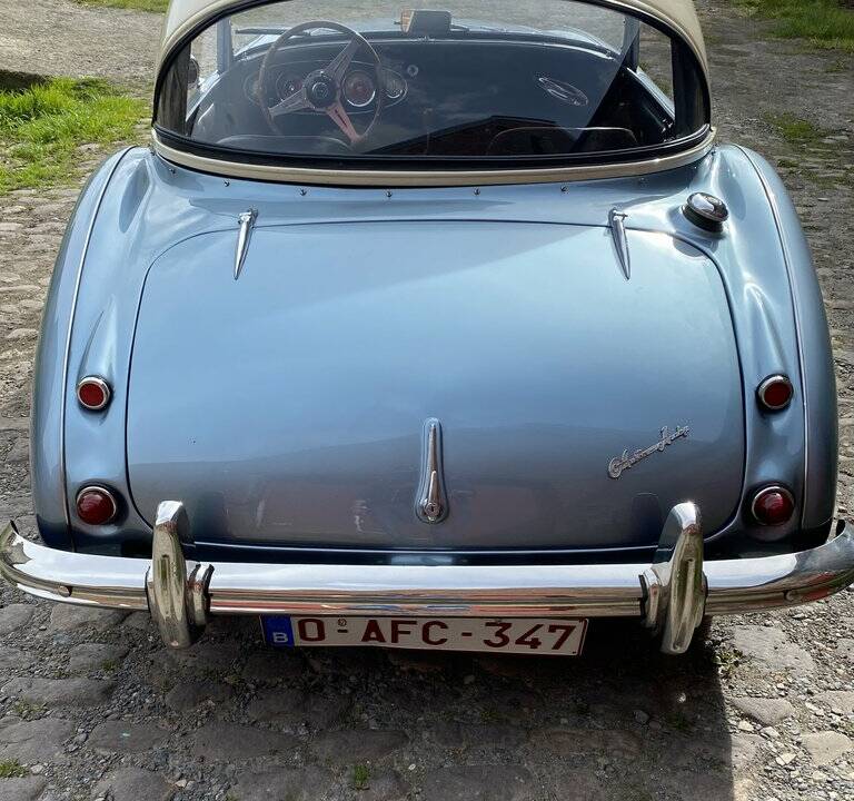 Image 4/8 de Austin-Healey 100/6 (BN4) (1957)