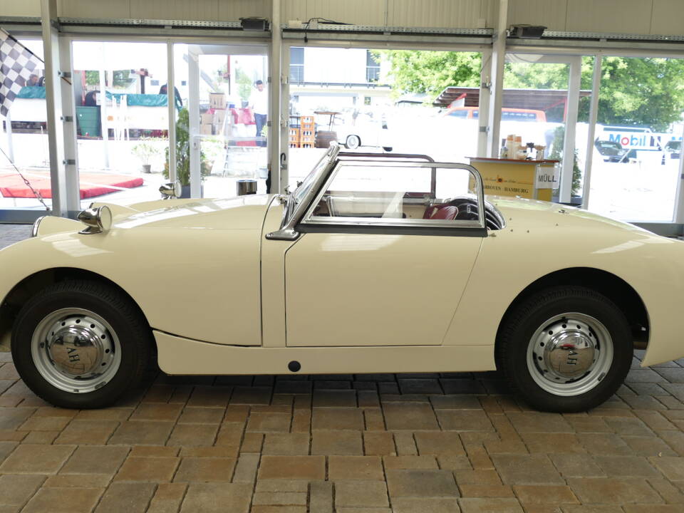 Image 3/21 of Austin-Healey Sprite Mk I (1959)