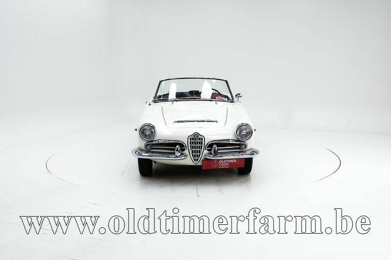 Image 5/30 de Alfa Romeo Giulia 1600 Spider Veloce (1965)