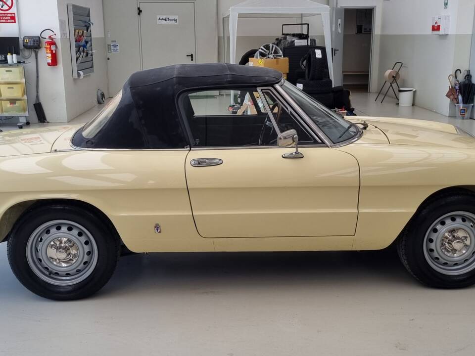 Bild 6/10 von Alfa Romeo 1600 Spider (1981)