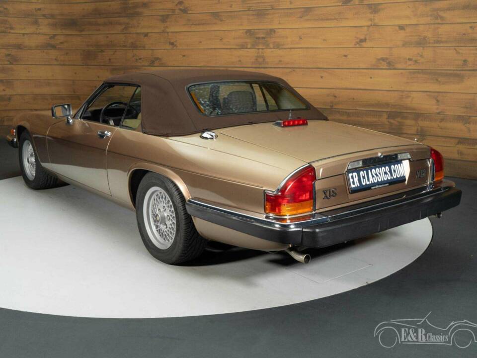 Immagine 15/19 di Jaguar XJ-S H.E. (1990)