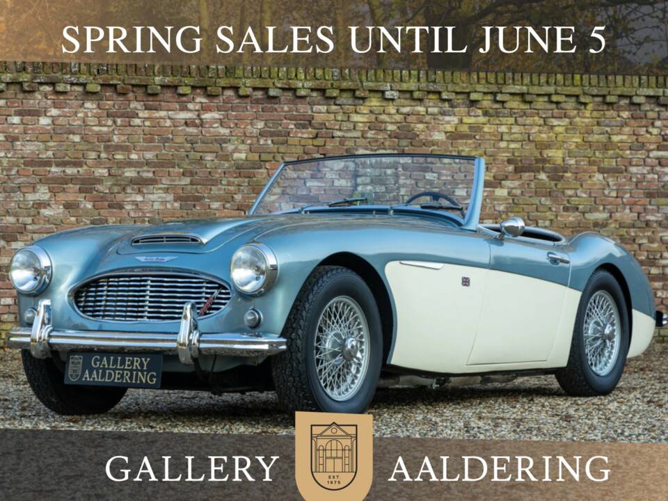 Afbeelding 1/50 van Austin-Healey 3000 Mk I (BN7) (1960)