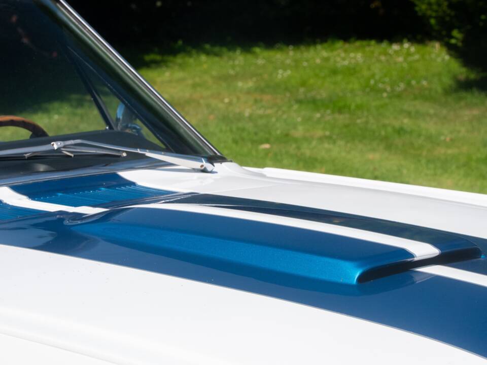 Bild 43/50 von Ford Shelby GT 350 (1965)