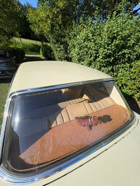 Image 10/52 of Mercedes-Benz 250 SE (1966)