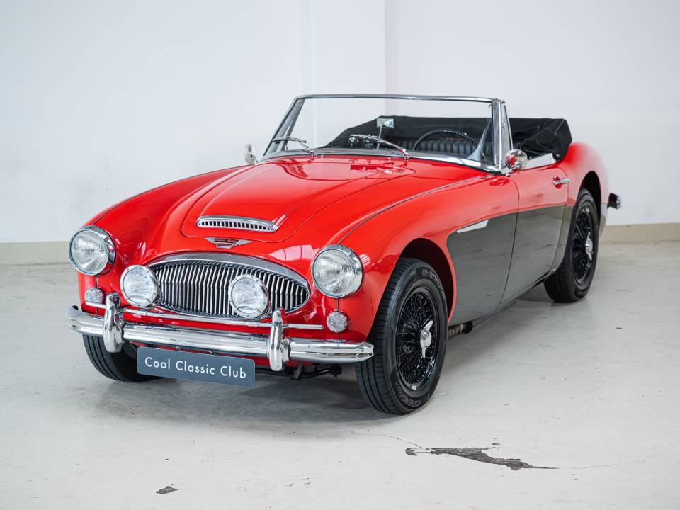 Imagen 49/50 de Austin-Healey 3000 Mk III (BJ8) (1964)