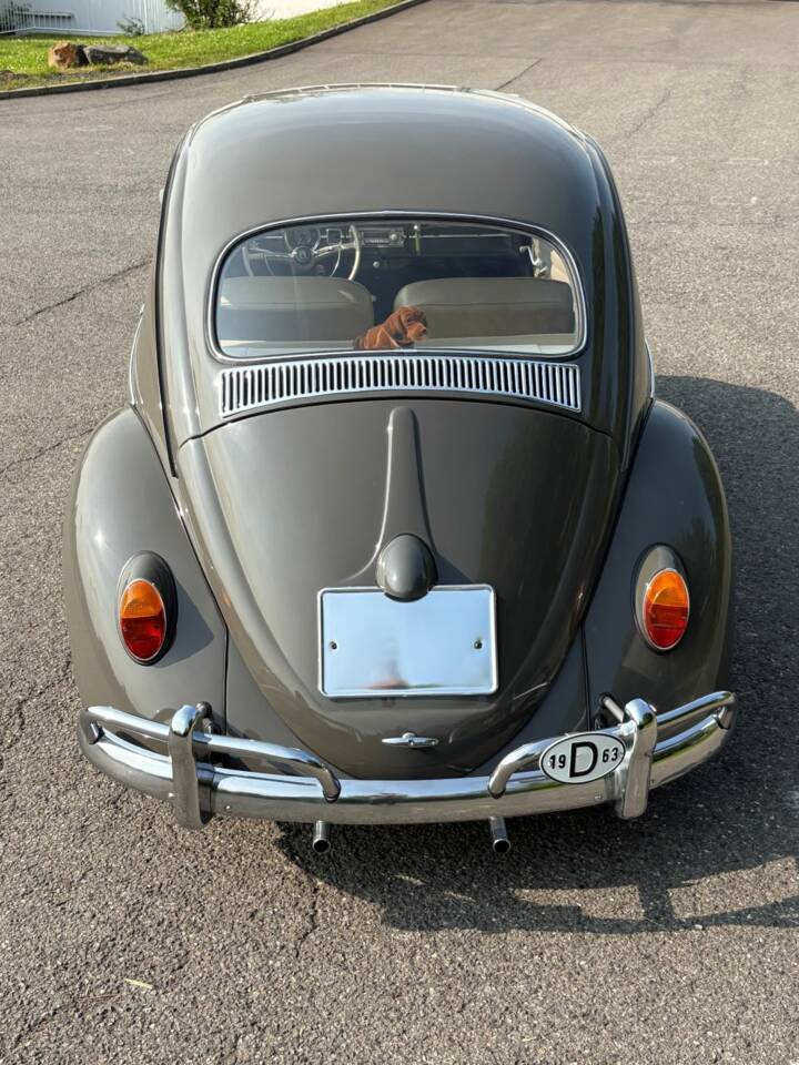 Imagen 15/48 de Volkswagen Coccinelle 1200 Export &quot;Dickholmer&quot; (1963)