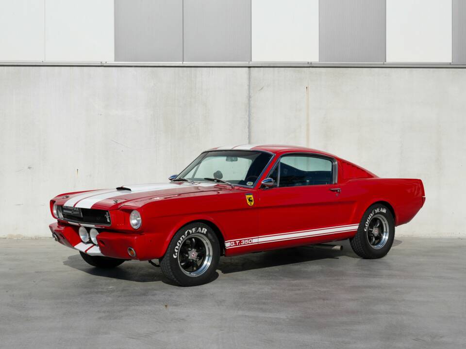 Image 1/50 of Ford Shelby GT 350 (1965)