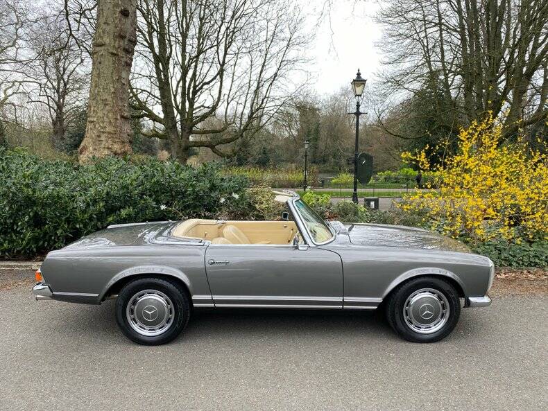 Afbeelding 10/50 van Mercedes-Benz 280 M-SL (1964)