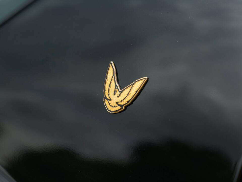 Imagen 26/50 de Pontiac Firebird TransAm (1989)