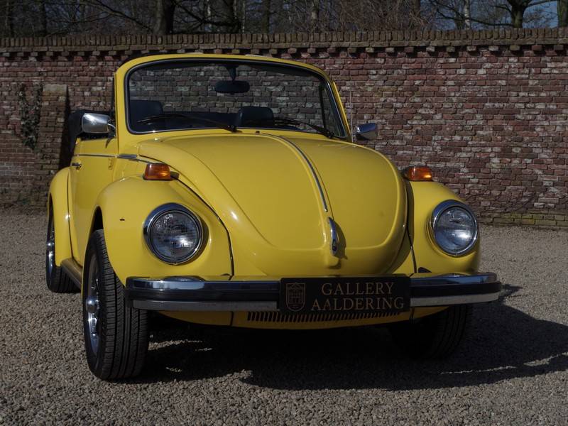 Bild 5/50 von Volkswagen Beetle 1600 (1976)