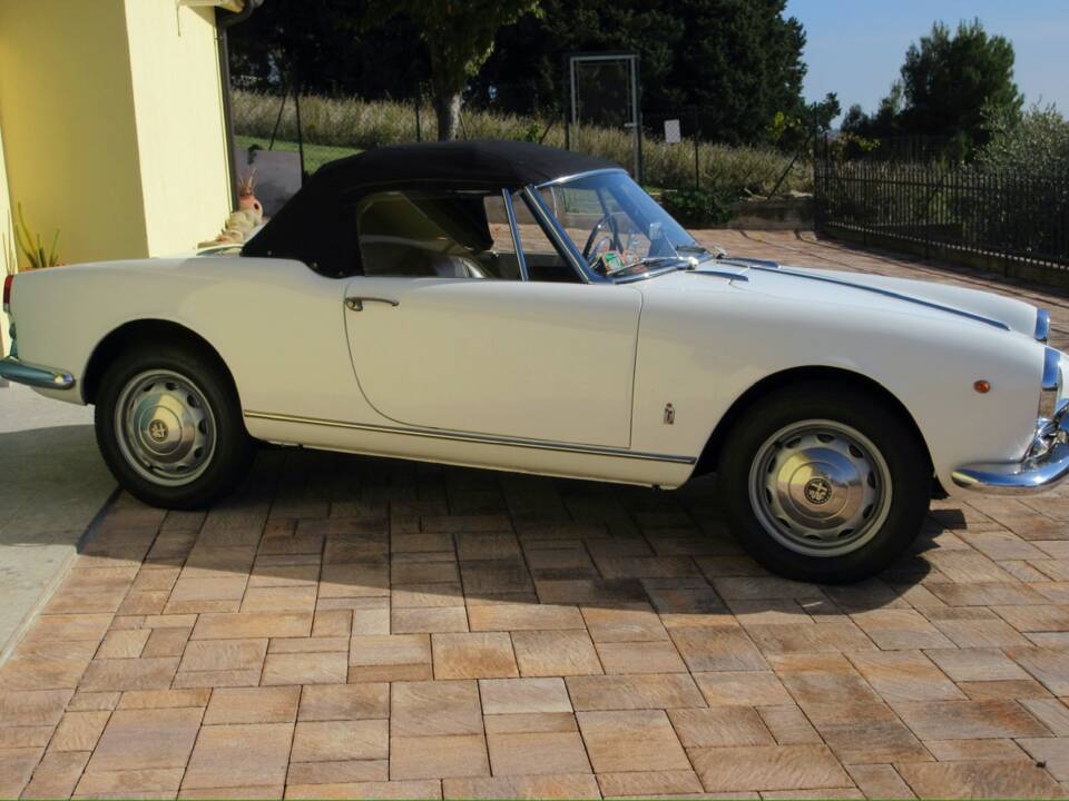 Bild 10/30 von Alfa Romeo Giulietta Spider (1961)