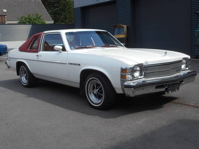 Image 2/23 of Buick Skylark Coupe (1976)