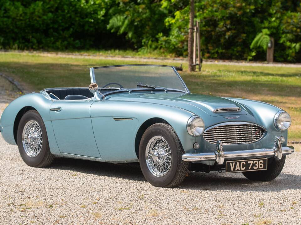 Bild 1/50 von Austin-Healey 100/6 (BN4) (1956)