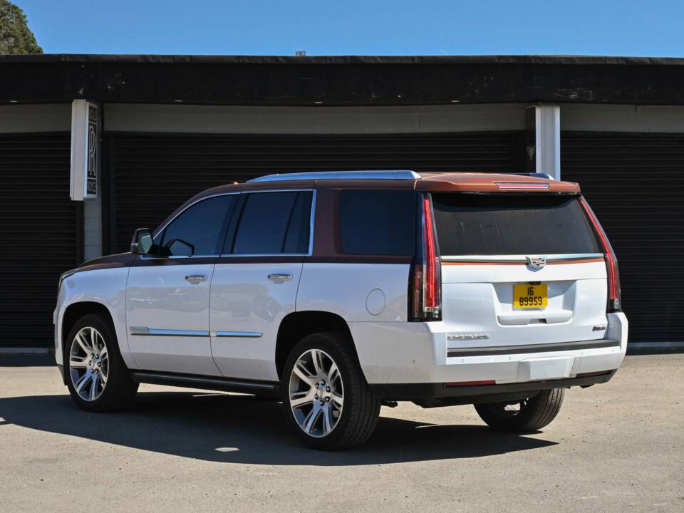 Bild 21/50 von Cadillac Escalade (2019)