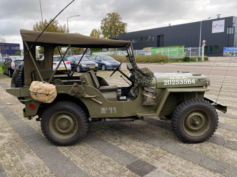 Image 12/42 of Willys MB (1942)