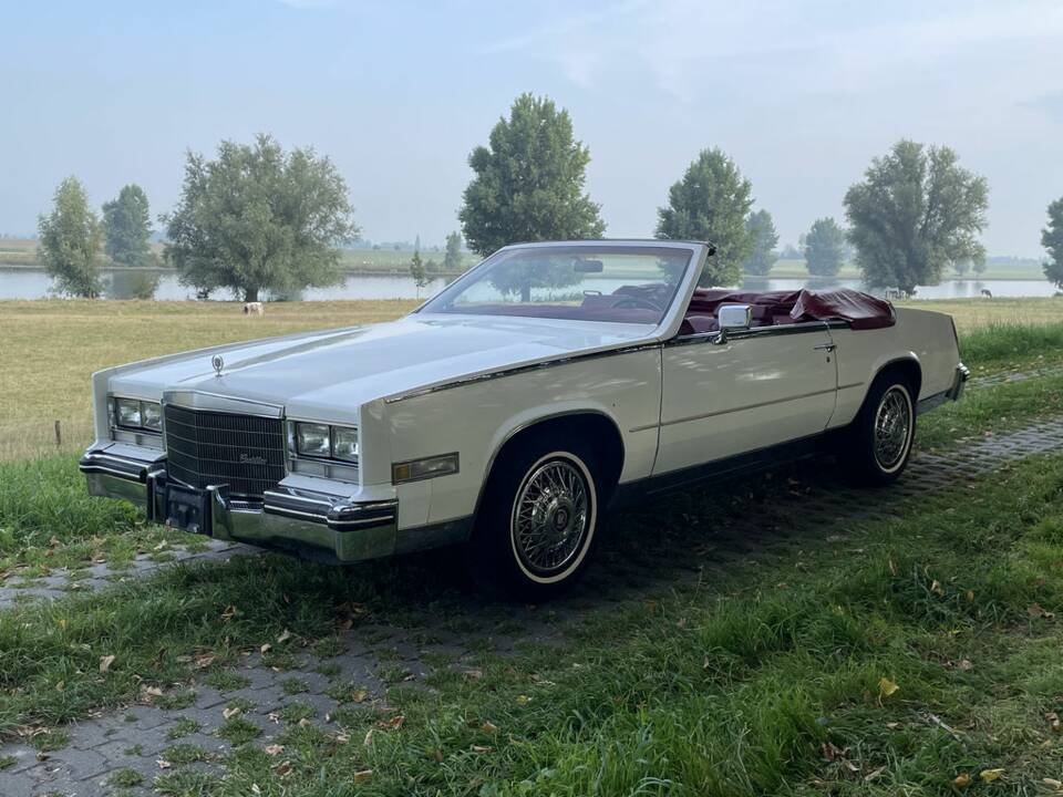 Image 4/8 de Cadillac Eldorado Biarritz Convertible (1984)