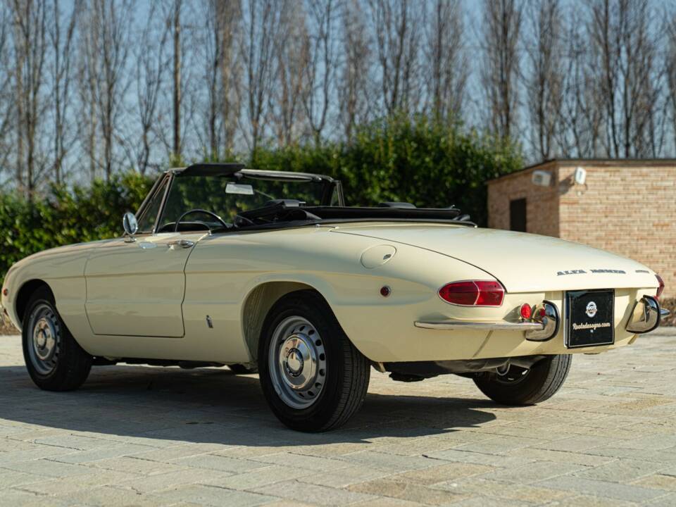 Imagen 8/50 de Alfa Romeo 1750 Spider Veloce (1969)
