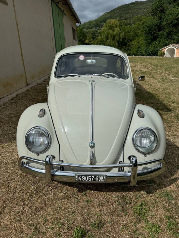 Image 10/11 of Volkswagen Beetle 1200 Standard &quot;Dickholmer&quot; (1962)