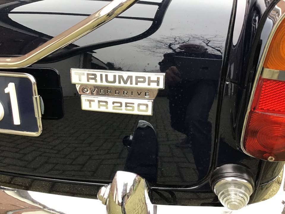 Image 10/25 of Triumph TR 250 (1967)