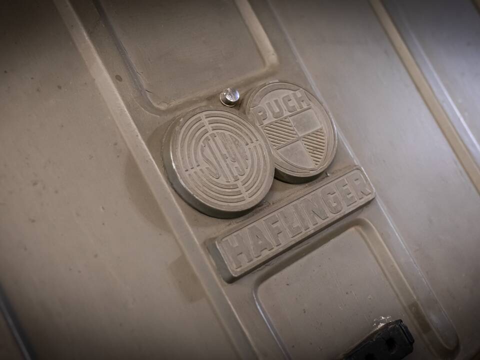 Bild 9/21 von Steyr-Puch Haflinger 700 AP (1960)