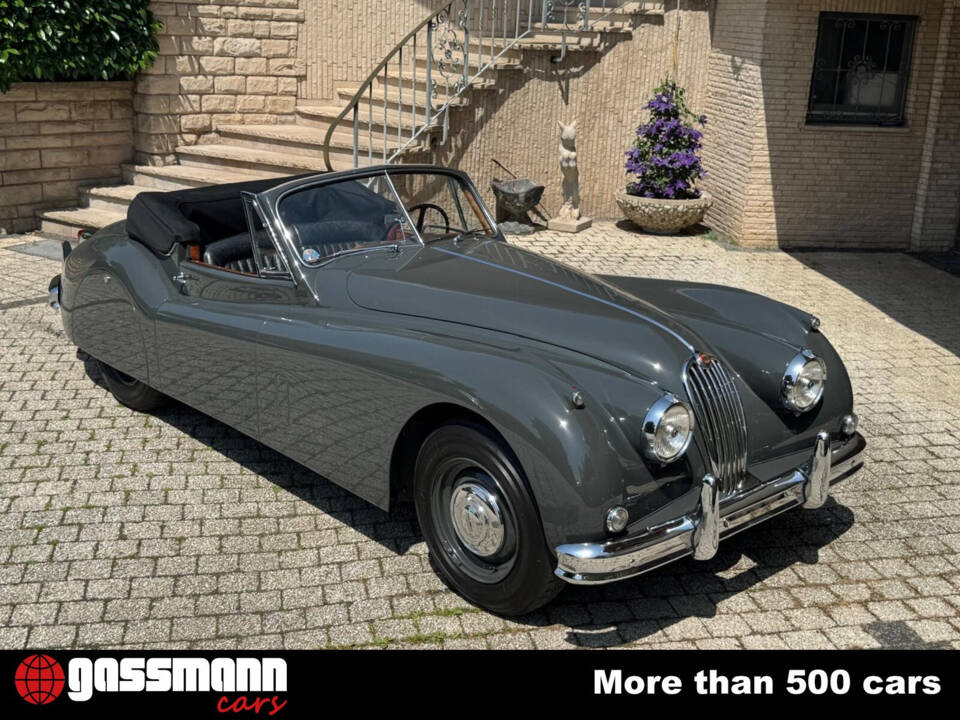 Image 2/15 of Jaguar XK 140 SE DHC (1955)