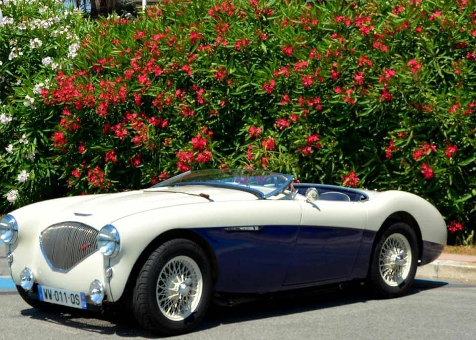 Bild 6/8 von Austin-Healey 100/4 (BN2) (1956)