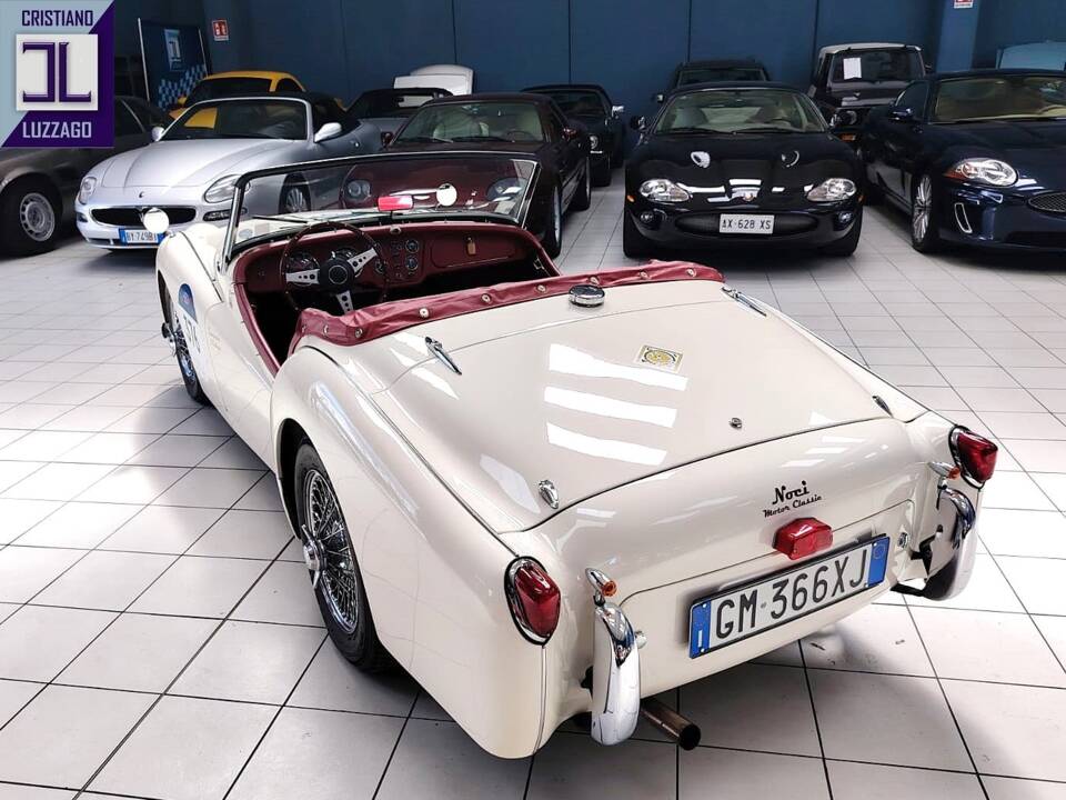 Immagine 6/80 di Triumph TR 3 (1955)