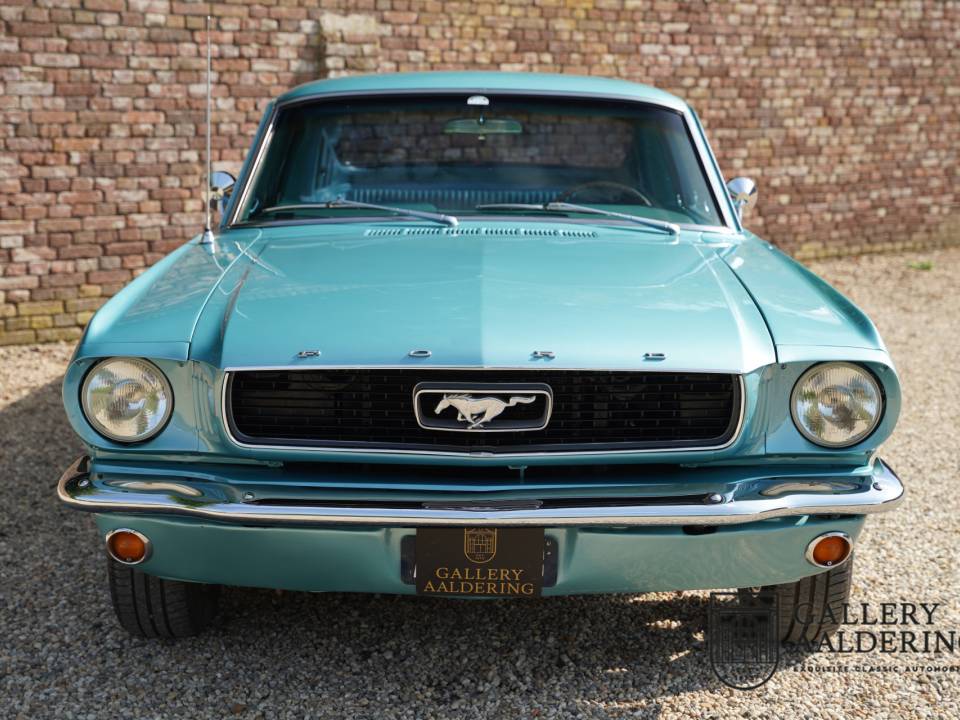 Bild 6/50 von Ford Mustang 289 (1966)